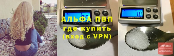 спайс Арсеньев