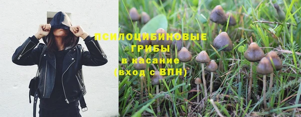 гидропоника Аркадак