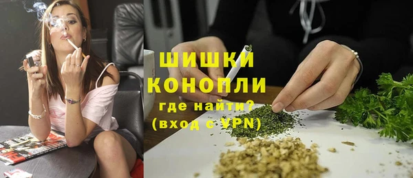 спайс Арсеньев